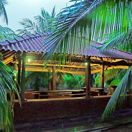 Heina Nature Resort - Eco Home And Yala Safari Kataragama Bagian luar foto