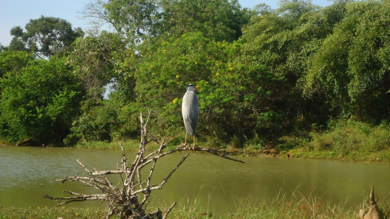 Heina Nature Resort - Eco Home And Yala Safari Kataragama Bagian luar foto